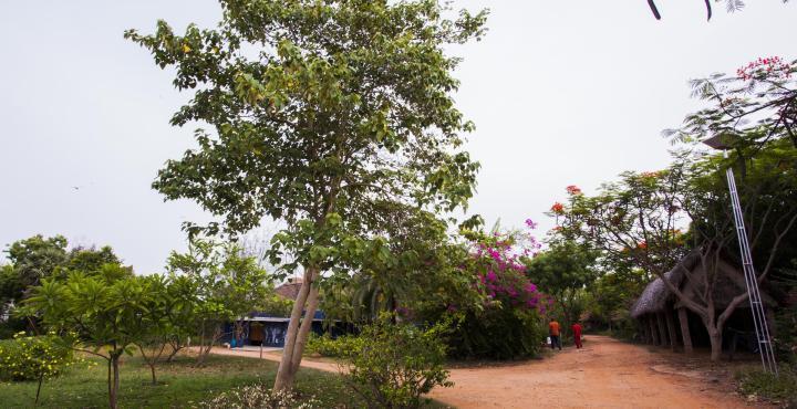 The Dune Eco Village And Spa - Pondichéry Extérieur photo